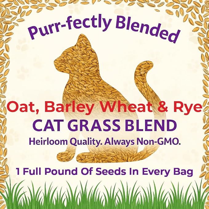 NatureZ Edge Premium Cat Grass Seeds for Indoor Cats, Non GMO - 1 lb Oat, Wheat, Barley & Rye Grass for Indoor Cats, Cat Plant, Kitty Lawn, Pet Grass, Hierba para Gatos, Made in USA