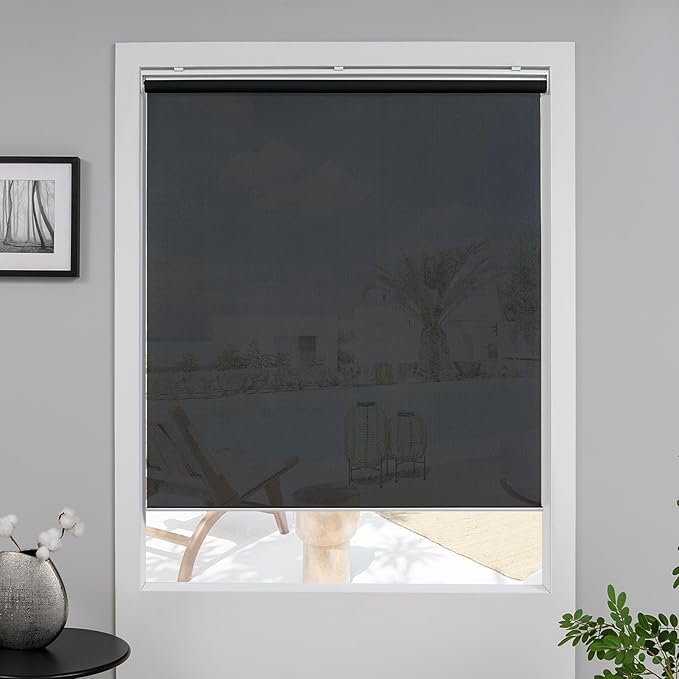 Cordless Roller Shades for Windows,Light Filtering Pull Down Blinds,Solar Screen Door Blinds,Flame Retardant UV Protection Fabric for Home Office (21" W x 72" H,Solar Black)