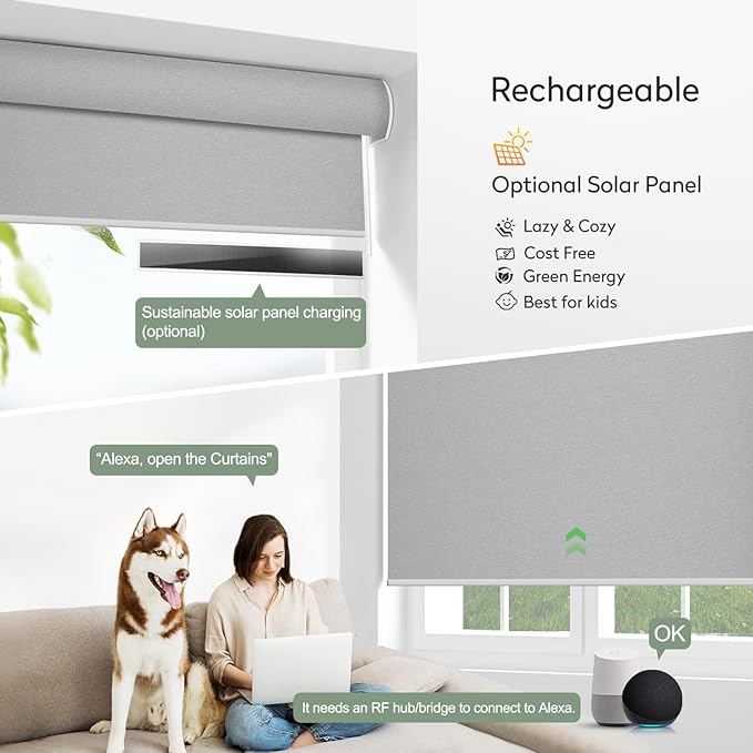 Zshine Motorized Blackout Window Blinds Customize Width (23-95 Inches) Remote Control Wireless and Rechargeable Roller Shades Blinds for Windows, Home, Office, Hotel, Club, Restaurant(82141G)