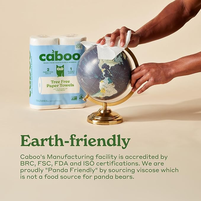 Caboo Tree Free Paper Towels, 2 Rolls, Tree Free, Eco Friendly, Earth Friendly, Sustainable Kitchen Paper Towels with Strong 2 Ply Sheets