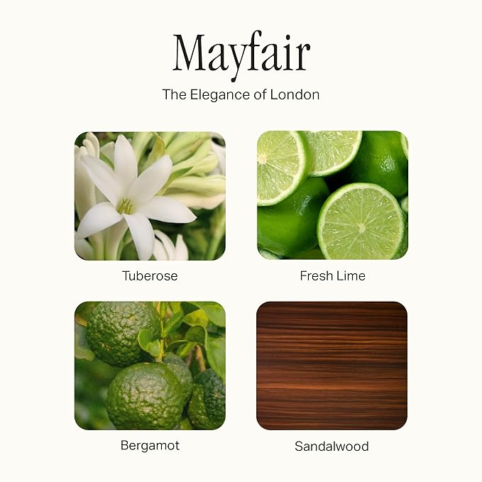 Preston Lane Luxury Hand Wash, Mayfair Scent | Hydrating and Nourishing Formula with Organic Oils, Active Kiwi and Apple Water, and Vegetable Glycerin | Gentle Cleansing, Vegan and Cruelty Free