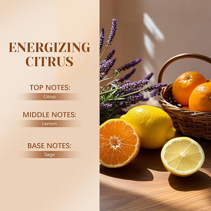 Car Air Freshener Hanging 2 Pack – Energizing Citrus Car Freshener Diffuser, Fall Car Air Freshener for Women and Men, Lasting up to 45 Days.0.27 FL OZ/8ML
