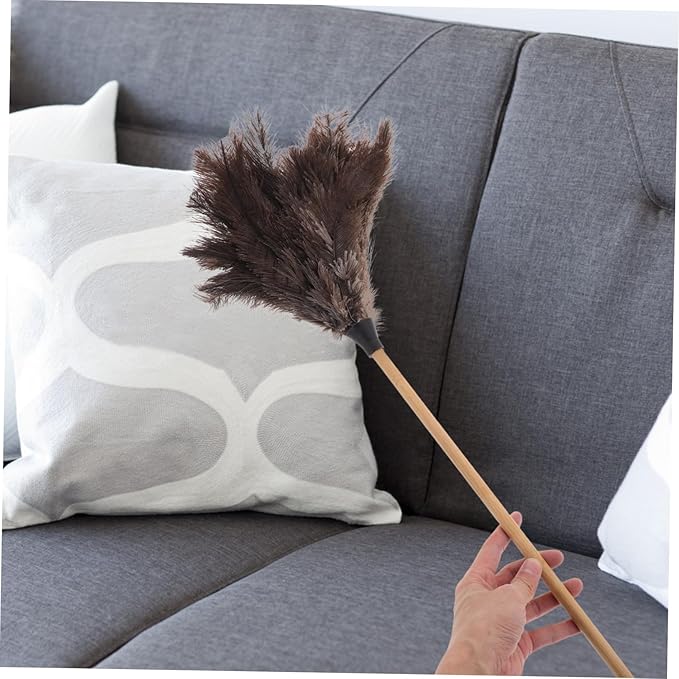 Handle Brush with Nonslip Matte Finish Large Surface Gentle Dust Brush for Home Office Car Cleaning Traditional Household Dusting Broom