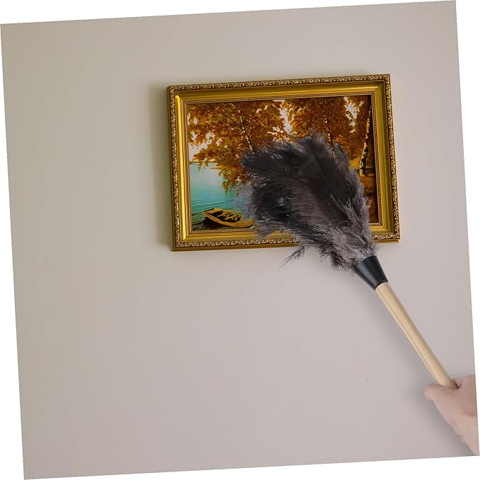 Natural Removal Brush Lightweight Cleaning Tool for Home Car Office with Soft Delicate Bristles and Hanging Practical for High and Reach Areas