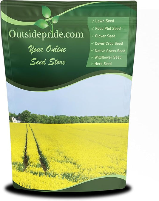Outsidepride Trophy Forage Rape Seed - 5 Lbs Heat, Cold & Drought-Tolerant Brassica Food Plot Seed, Ideal for for Deer & Livestock Grazing, Fall Planting, Soil Improvement, & Erosion Control