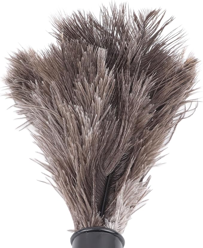 Keenso Adjustable Long Handle Retractable Dusting Brush for Quick Dust Removal, Home Office, Hotel, Pack of 2