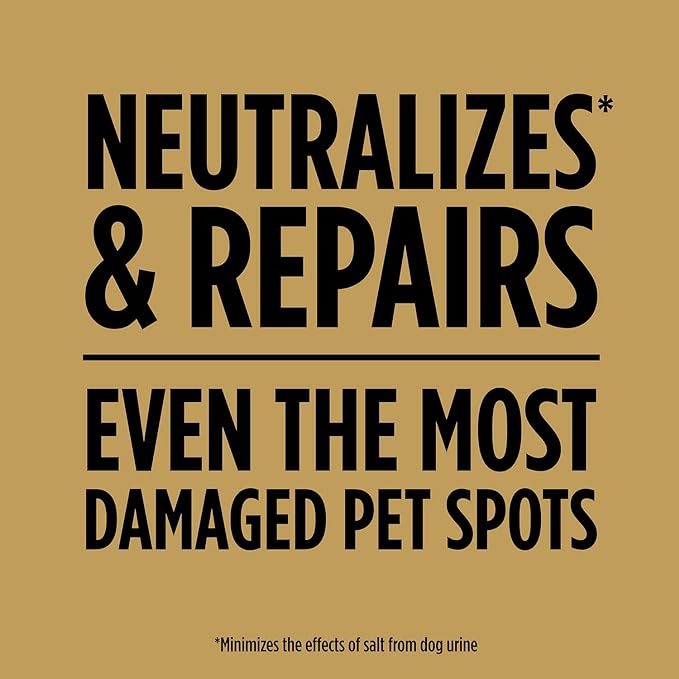 Scotts EZ Seed Dog Spot Repair for Tall Fescue Lawns, Combination Mulch, Grass Seed and Soil Amendment to Neutralize and Repair Pet Damage in Lawns, 2 lb