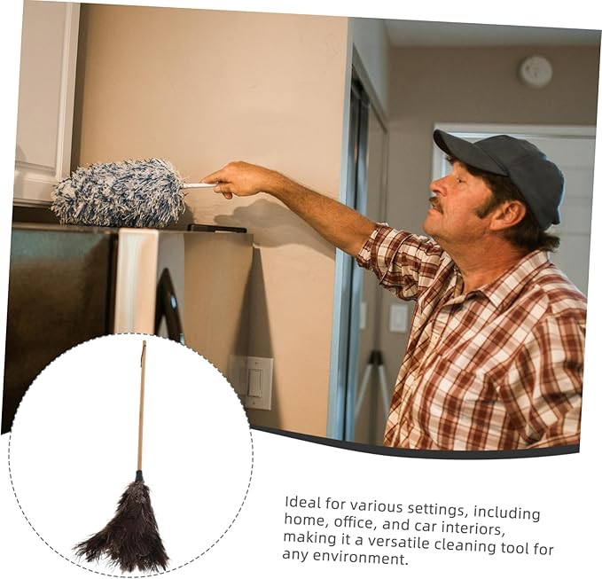 Handle Brush with Nonslip Matte Finish Large Surface Gentle Dust Brush for Home Office Car Cleaning Traditional Household Dusting Broom