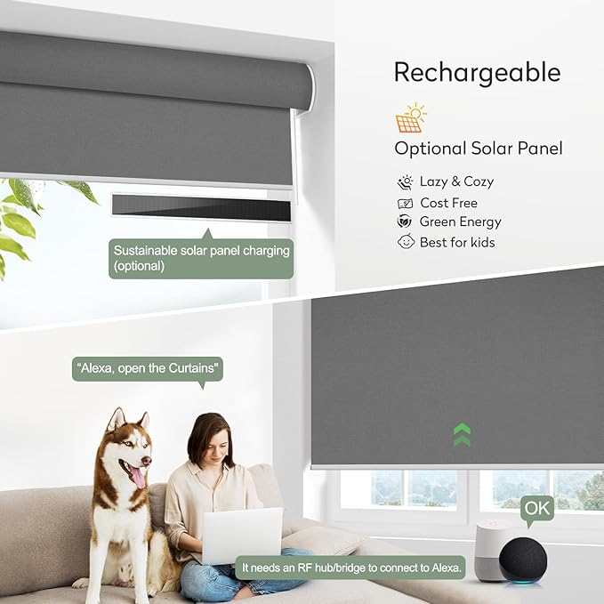 ZSHINE Motorized Blackout Window Blinds Customize Width (23-95 Inches) Remote Control Wireless and Rechargeable Roller Shades Blinds for Windows, Home, Office, Hotel, Club, Restaurant(82010l)