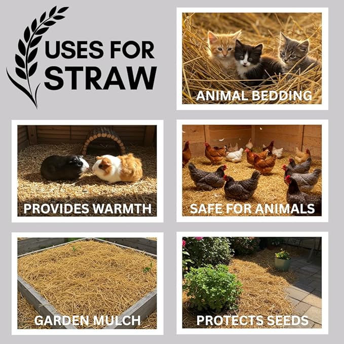 100% Natural Wheat Straw for Animal Bedding, Garden Mulch, Compost & Fertilizer, and Grass Cover (15 Pounds)