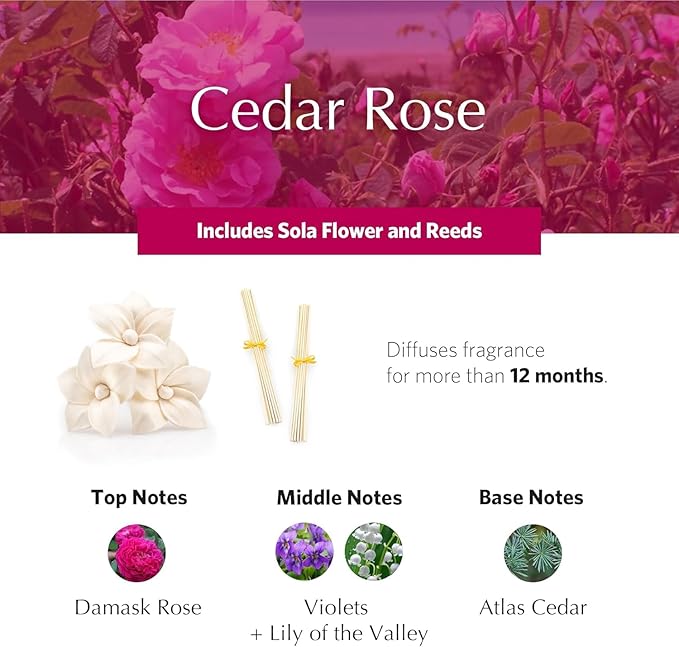 Cedar Rose Holiday AirEssence Diffuser, 7.4oz