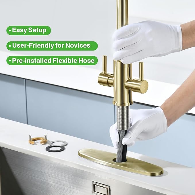 Kitchen Sink Faucet, 2 Handles Pull Down with Sprayer, Brushed Gold, PB1056