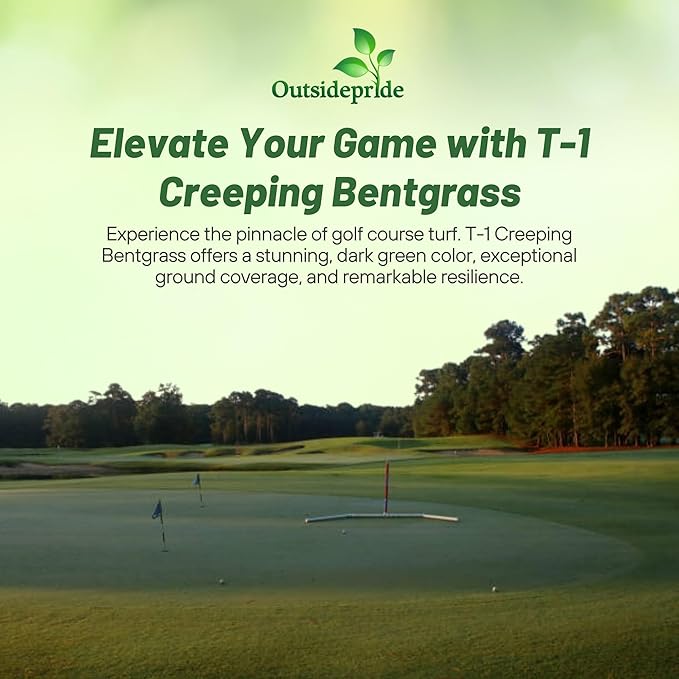 Outsidepride T-1 Creeping Bentgrass Seed - 2 lbs Fine-Bladed, Premium Quality Turf, Grass Seed for Smooth Surface, & High-Traffic Areas, Ideal Grass for Golf Courses Putting Greens, & Fairways