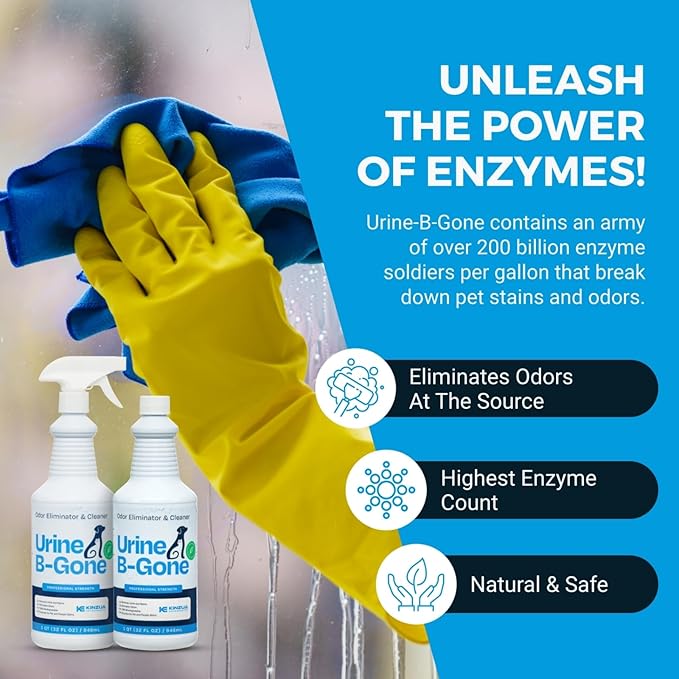 KINZUA ENVIRONMENTAL Urine B-Gone, Professional Enzyme Odor Eliminator & Pet Stain Remover, Human, Cat & Dog Urine Cleaner, Effective on Laundry, Carpets & More, Original Scent, 32oz, Pack of Two