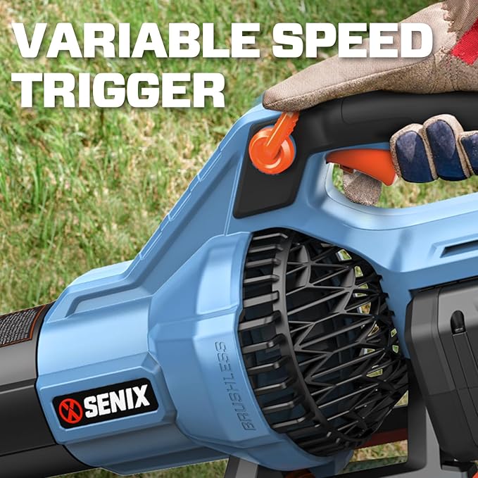 60V Cordless Leaf Blower, 810 CFM & 170 MPH for Powerful Yard Cleaning, Includes 4.0Ah Battery & Charger, Features Brushless Motor, Variable Speed and Cruise Control, Ideal for Lawns and Leaf Blowing