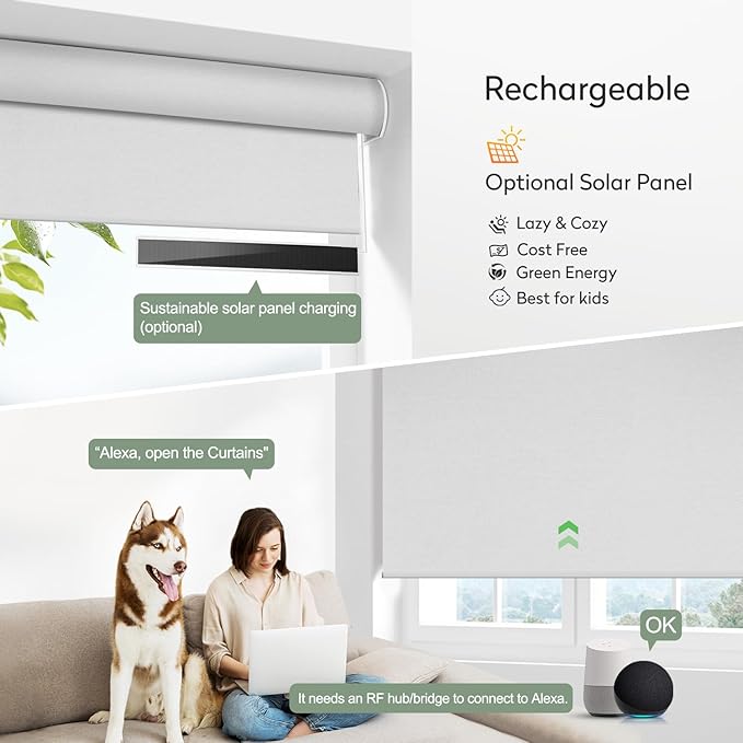 ZSHINE Motorized Blackout Window Blinds Customize Width (23-95 Inches) Remote Control Wireless and Rechargeable Roller Shades Blinds for Windows, Home, Office, Hotel, Club, Restaurant(82010G)
