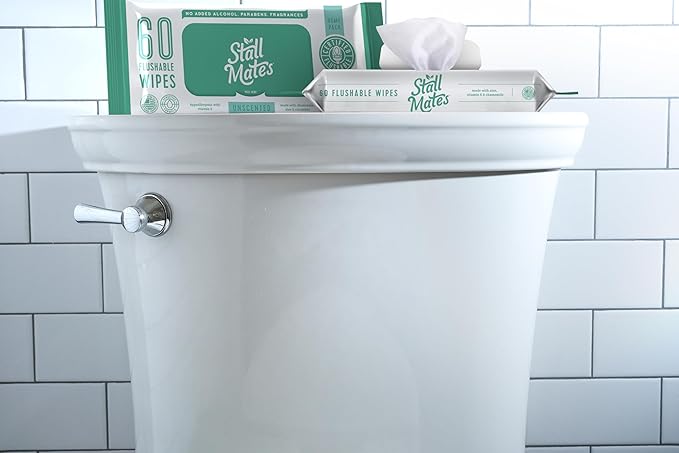 Stall Mates Wipes: Flushable Wipes | 60-Wipe Home Pack | Hypoallergenic | Unscented with Vitamin-E & Aloe | (4 Pack - 240 Total)