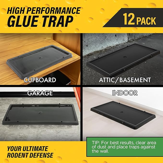 Glue Traps for Mice,Rat,Mouse,Snake,Lizard,Insect. 12 Pack. Extra Strength,Pre-Baited Adhesive.Heavy Duty Plastic Tray.Non-Toxic,Chemical-Free Pest Control for Home. 12Pack