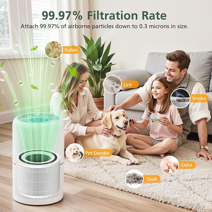 Core 300 Replacement Filter for LEVOIT Core 300 Core300-P Core 300S Core 300-P VortexAir Air Purifier, Core 300-RF, 3-in-1 HEPA Activated Carbon, 2 Pack, White, Core 300-P