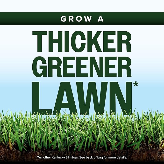 Scotts Kentucky 31 Grass Seed Mix for New Lawns or Overseeding, Grows Thicker and Greener vs. Other Kentucky 31 Mixes, Covers up to 5,000 sq. ft.