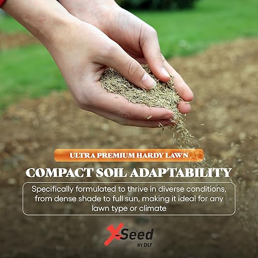 X-Seed Hardy Lawn Grass Seed Mixture - Durable, Long-Lasting Lawn Solution for Full Sun, Withstands Extreme Temperatures & Heavy Traffic, Ideal for Backyards, 3 lbs.