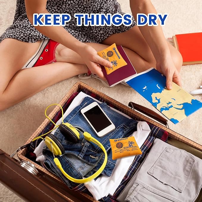 100gx10pcs Rechargeable Desiccant Packs for Storage, Reusable Dehumidifier Bags Visible Color Indicating Silica Gel Packets Moisture Absorbers for Safe Closet 3D Filaments Electronics Camera