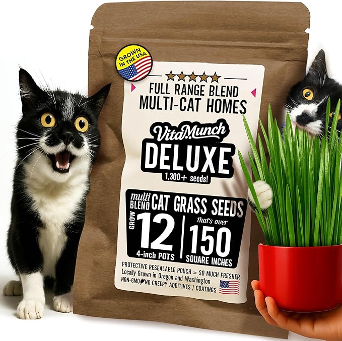 Cat Grass Seed Deluxe Non-GMO Blend Cats Love + Grows 12 Pots (Over 150 Sq in) Ready in 5 Days + Full Range of Tastes/Textures The Whole Crew Will Enjoy +Trusted by Vets for Indoor Cats –1300+ Seeds