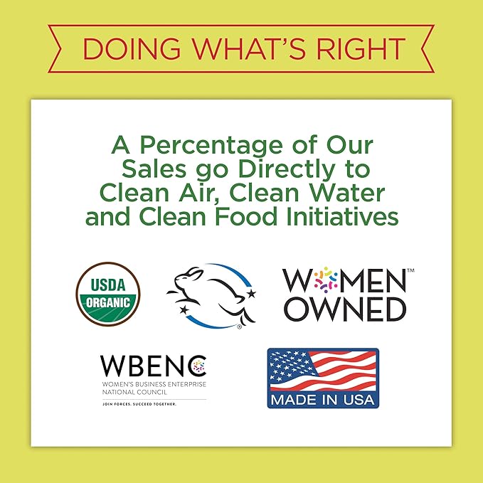 Rebel Green Sparkling Glass Cleaner - Streak Free Glass Cleaner Spray - Natural Glass & Surface Spray for Windows, Mirrors, & More - Scented with Peppermint & Lemon - (32 Ounce Bottles, 4 Pack)