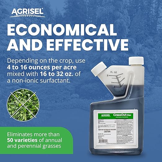 GrassOut Max Weed Killer, Targets 50+ Grassy Weeds Without Harming Desired Plants, Pet Safe, Large Area Treatment, Easy Application, Includes 3-Pack of Agrisel Protective Gloves, 16 Ounces
