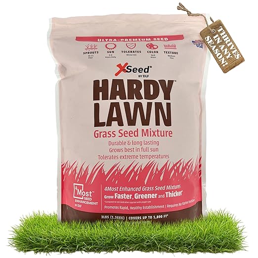 X-Seed Hardy Lawn Grass Seed Mixture - Durable, Long-Lasting Lawn Solution for Full Sun, Withstands Extreme Temperatures & Heavy Traffic, Ideal for Backyards, 3 lbs.
