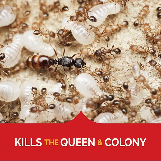 Hot Shot Ultra Liquid Ant Bait, Kills the Queen & Colony, Pack of 6