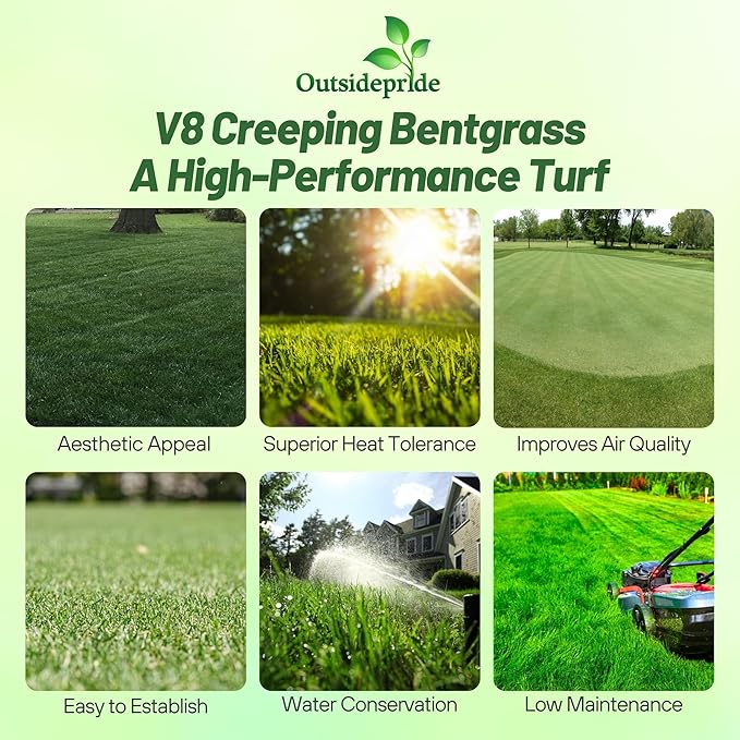 Outsidepride V8 Creeping Bentgrass Seed - 5 lbs. Fine-Bladed, Premium Quality Turf, Grass Seeds for Smooth Surface, & High-Traffic Areas, Ideal Grass for Golf Courses Putting Greens, & Fairways