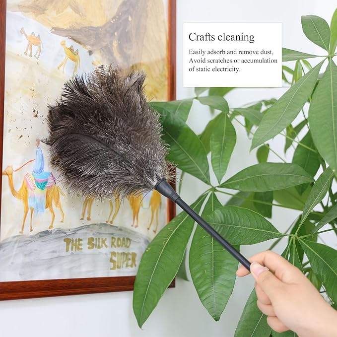 Ostrich Feather Duster 15Inch Natural Fluffy Handheld Feather Dusters for Cleaning Keyboard Home Car Office (5PCS)