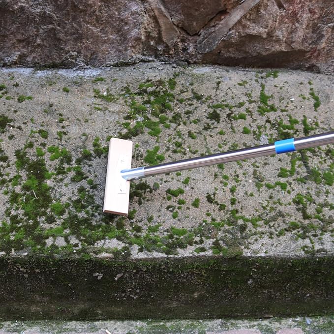 MAXMAN Stainless Steel Floor Scrubber Scrub Brush with Long Handle, Deck Brush, 63" Heavy Duty Outdoor Push Broom, Moss Remover, Wire Scratch Brush for Scrubbing Concrete, Patio, Garage, 2 Brush Head