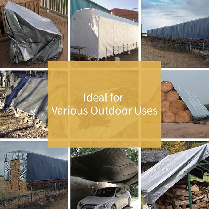 GUARD SHIELD Heavy Duty Tarp 30x30 Feet Silver/Black Multi Purpose Thick Waterproof Poly Tarp Cover 10mil