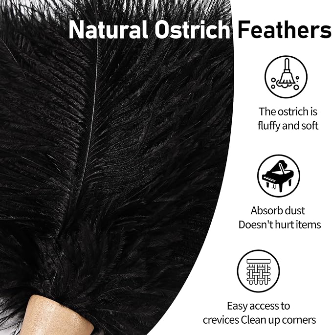 Ostrich Feather Duster 12 Inch Handheld Duster Supplies, Wooden Handle Feather Duster for Cleaning Keyboard Home Car Office (Black 2Pcs)
