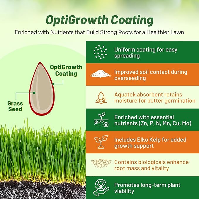 Outsidepride Legacy Fine Fescue Grass Seed Mix - 10 lbs. Shade & Sun Tolerant Blend of Hard Fescue, Chewings Fescue & Creeping Red Fescue with OptiGrowth Coating for Better Establishment