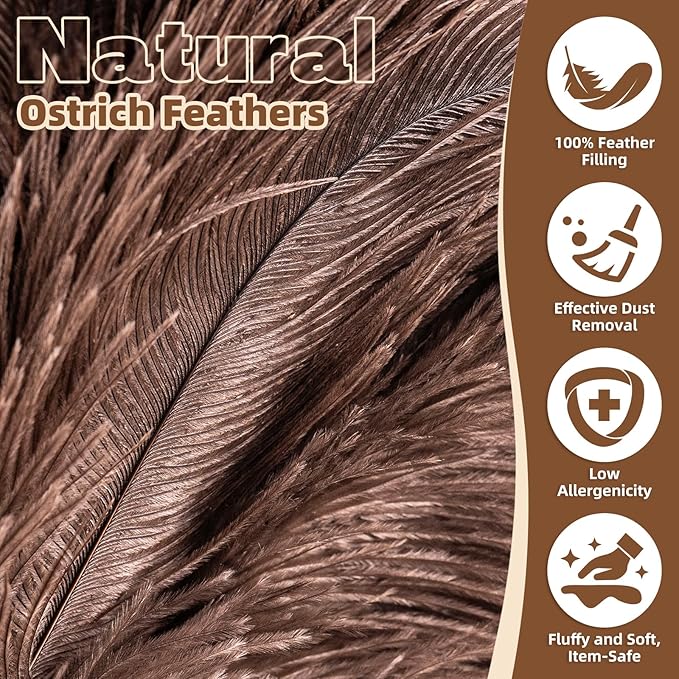 2 PCS Ostrich Feather Dusters with Wooden Handle, 13.5 inch Natural Fluffy Feather Dusters for Dusting Home, Car, Delicate Surfaces, Reusable Soft Cleaning Tools for Ledges, Blinds