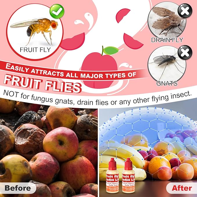 Qualirey 8 Pack Fruit Fly Trap Refill Liquid, 0.68oz/ Bottle Liquid Fruit Fly Traps for Indoors Non Toxic Safe Near Food, Effective Lure Refill for Indoor and Kitchen Use, Red