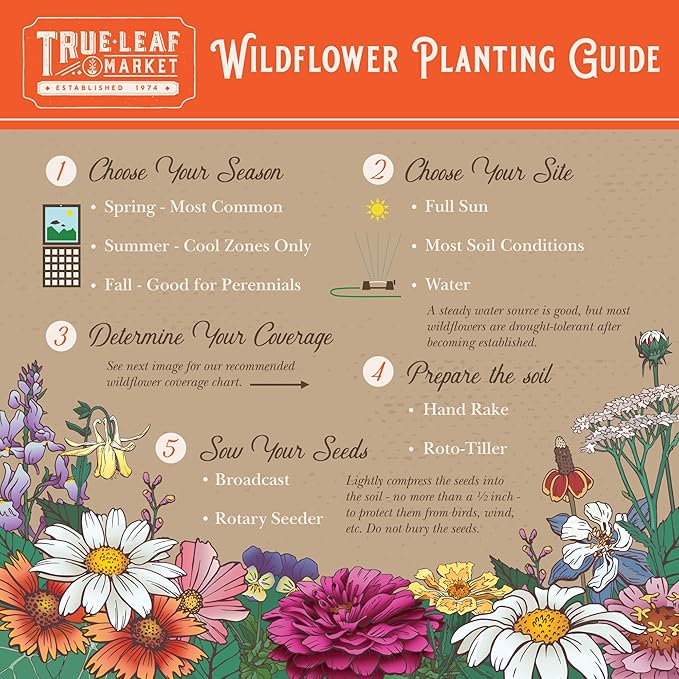 Northeastern Wildflower Seeds Bulk – 1 lb, 640,000+ Seeds – Annual & Perennial Wildflower Mix with Native Northeast Flowers – Regional Pollinator Flower Seed for Garden & Meadow
