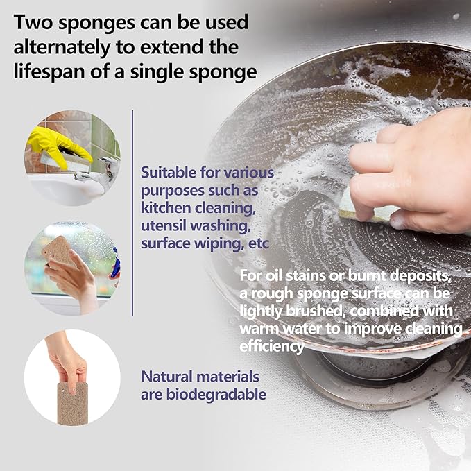 Kitchen Biodegradable Compostable Cellulose Sponges - Pack of 10 Eco Friendly Sponge