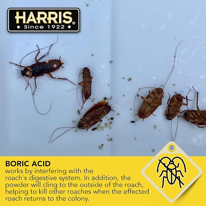 HARRIS Boric Acid Roach and Silverfish Killer Powder w/Lure for Insects (16oz)