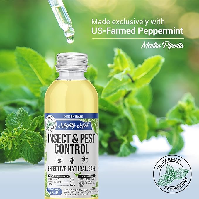 Mighty Mint Peppermint Oil Insect Repellent Concentrate– Natural Indoor & Outdoor Bug Control for Spiders, Ants, Roaches, and More – Plant-Based, Extra-Strong Formula - 8 oz