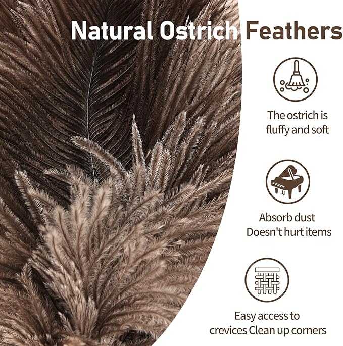 Ostrich Feather Duster 12 Inch Handheld Duster Supplies, Wooden Handle Feather Duster for Cleaning Keyboard Home Car Office (Natural)