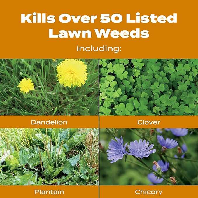 Scotts Turf Builder WinterGuard Fall Weed & Feed5, Weed Killer Plus Fall Fertilizer, 12,000 sq. ft., 33.84 lbs.