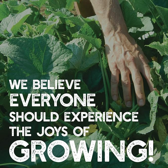 No-Till Farm and Garden Cover Crop Mix Seeds - 1 Lbs - Blend of Gardening Cover Crop Seeds: Hairy Vetch, Daikon Radish, Forage Collards, Triticale, More