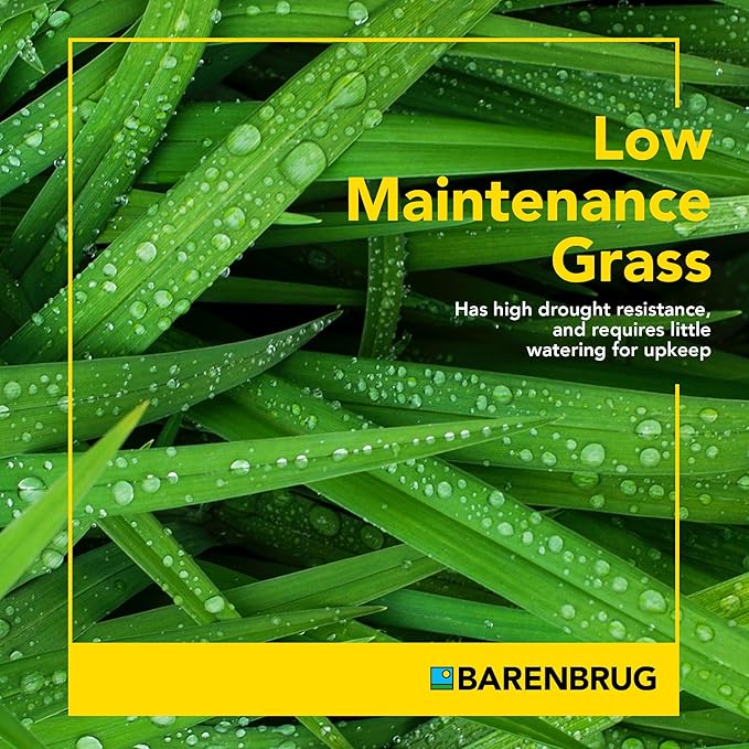 Barenbrug Wonderlawn Quicklawn Grass Seed Mix for Lawn Care and Landscaping, 3 lbs. Bag