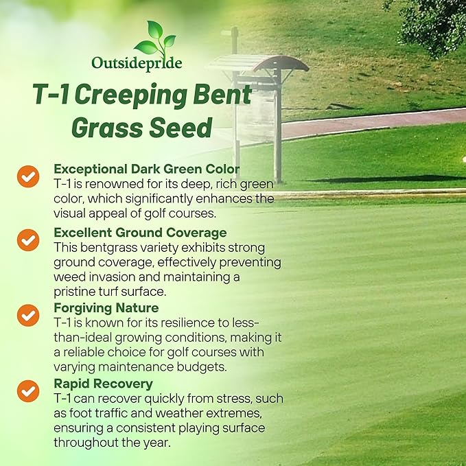 Outsidepride T-1 Creeping Bentgrass Seed - 25 lbs Fine-Bladed, Premium Quality Turf, Grass Seed for Smooth Surface, & High-Traffic Areas, Ideal Grass for Golf Courses Putting Greens, & Fairways