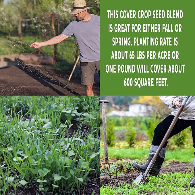 No-Till Farm and Garden Cover Crop Mix Seeds - 1 Lbs - Blend of Gardening Cover Crop Seeds: Hairy Vetch, Daikon Radish, Forage Collards, Triticale, More