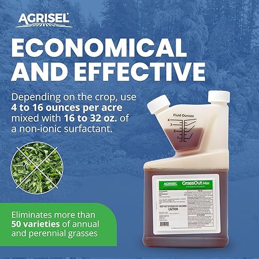 GrassOut Max Weed Killer, Targets 50+ Grassy Weeds Without Harming Desired Plants, Pet Safe, Large Area Treatment, Easy Application, Includes 3-Pack of Agrisel Protective Gloves, 32 Ounces